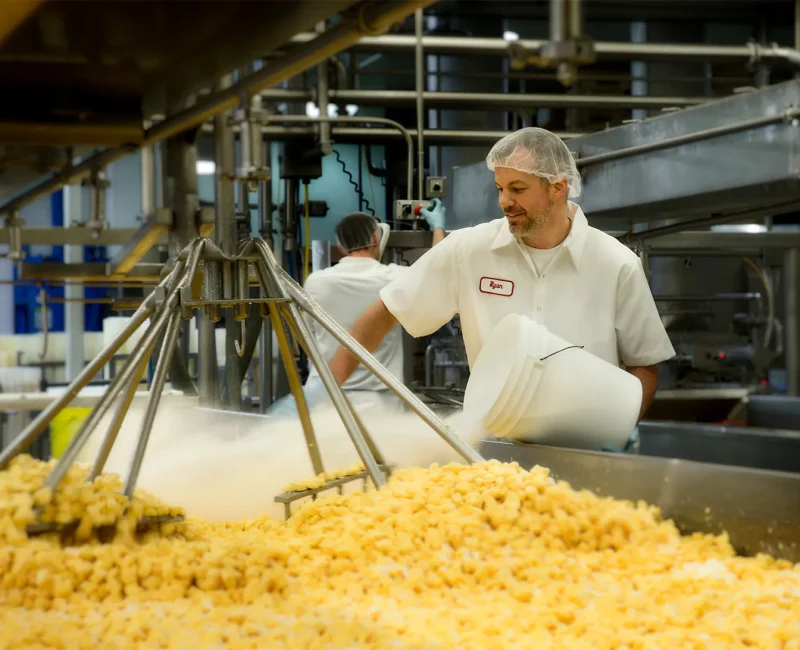 Wisconsin-cheesemaker-salt-cheese-curds-dairy-Stanley